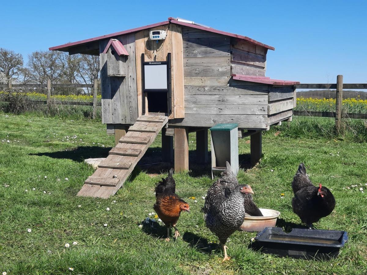 Bed and Breakfast Au Temps Retrouve Nouans-les-Fontaines Exterior foto